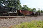 CR 507411
